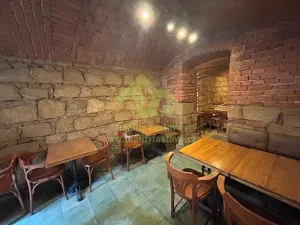 Prodej rodinného domu, Plzeň, Lindauerova, 776 m2