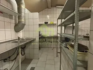 Prodej rodinného domu, Plzeň, Lindauerova, 776 m2