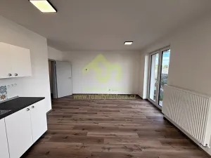Pronájem bytu 1+kk, Dobřany, Denksteinova, 86 m2