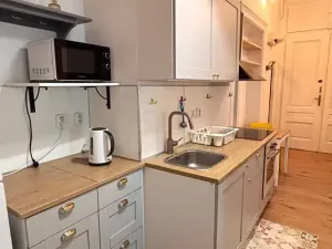 Pronájem bytu 2+1, Praha - Vinohrady, Korunní, 55 m2