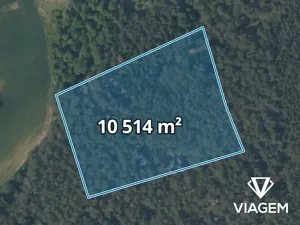 Prodej podílu lesa, Hrdlív, 2102 m2