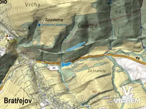 Prodej lesa, Bratřejov, 4108 m2