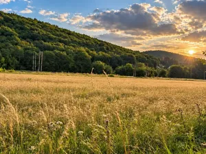 Prodej louky, Lety, 185 m2