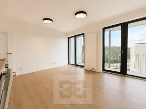 Pronájem bytu 1+kk, Brno, Pod Kavkami, 40 m2