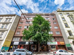 Pronájem bytu 2+kk, Praha - Karlín, Sokolovská, 58 m2