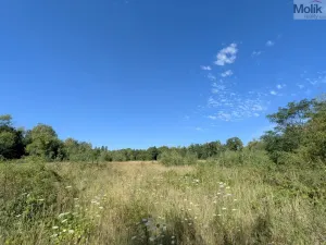 Prodej pozemku pro bydlení, Mariánské Radčice, Československé armády, 987 m2