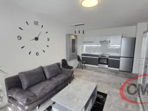Pronájem bytu 2+kk, Praha, Štúrova, 42 m2