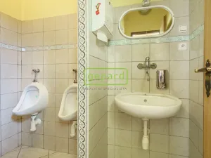Pronájem obchodního prostoru, Karlovy Vary, Rohová, 112 m2