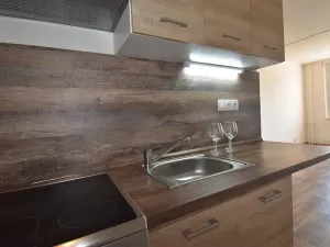 Pronájem bytu 2+kk, Most, Františka Malíka, 39 m2