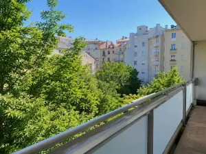 Prodej bytu 5+kk, Praha - Žižkov, Přemyslovská, 113 m2