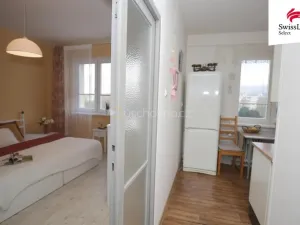 Prodej bytu 2+1, Most, Jaroslava Vrchlického, 54 m2