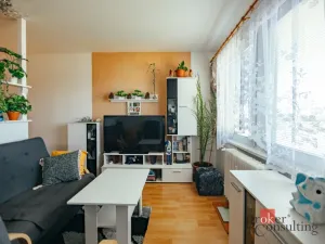 Prodej bytu 2+1, Opočno, Pohořská, 60 m2