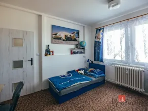 Prodej bytu 2+1, Opočno, Pohořská, 60 m2