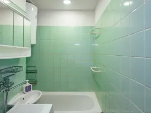 Prodej bytu 2+1, Opočno, Pohořská, 60 m2