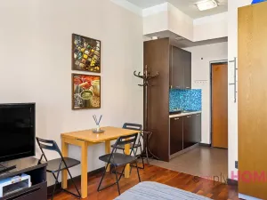 Pronájem bytu 1+kk, Praha - Žižkov, Cimburkova, 21 m2