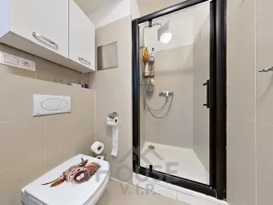 Prodej bytu 1+kk, Praha - Letňany, Škrábkových, 42 m2