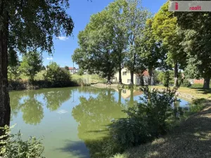 Prodej chaty, Čechtice - Otročice, 152 m2