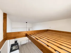 Pronájem bytu 1+kk, Liberec, Rumjancevova, 25 m2