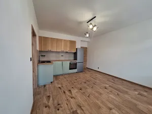 Pronájem bytu 2+kk, Praha - Břevnov, Bělohorská, 50 m2
