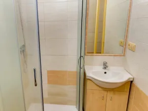 Prodej bytu 1+1, Ostrava - Poruba, Větrná, 37 m2