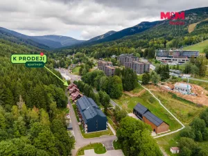 Prodej bytu 2+kk, Dolní Morava - Horní Morava, 38 m2