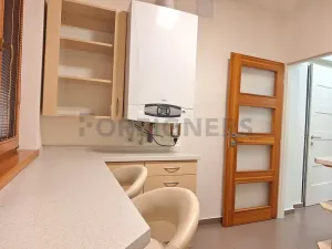 Pronájem bytu 1+1, Olomouc, Dolní náměstí, 53 m2