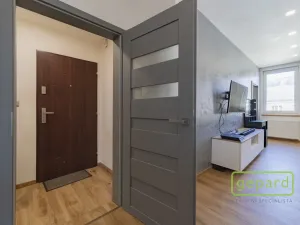 Prodej bytu 2+kk, Hranice, Vítězná, 57 m2