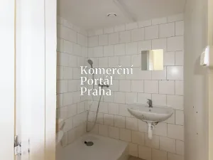 Pronájem restaurace, Praha - Michle, Budějovická, 180 m2
