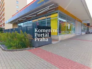 Pronájem restaurace, Praha - Michle, Budějovická, 180 m2