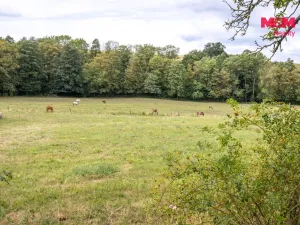 Prodej rodinného domu, Bojkovice - Bzová, 182 m2