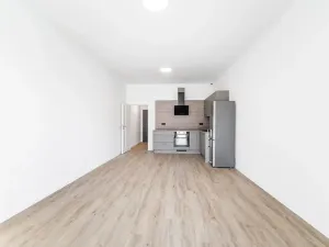 Prodej bytu 1+kk, České Budějovice, U Branišovského lesa, 46 m2