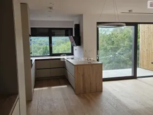 Pronájem bytu 4+kk, Praha - Motol, Pod Homolkou, 120 m2