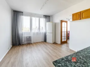 Pronájem bytu 1+1, České Budějovice - České Budějovice 3, Puklicova, 40 m2