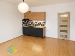 Pronájem bytu 1+kk, Liberec, Staškova, 26 m2