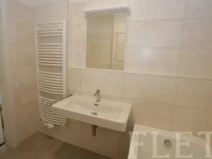 Pronájem bytu 2+kk, Praha - Karlín, U Mlýnského kanálu, 57 m2