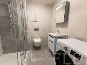 Pronájem bytu 1+kk, Praha - Žižkov, Hartigova, 36 m2