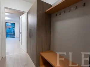 Pronájem bytu 1+kk, Praha - Žižkov, Hartigova, 36 m2