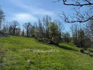 Prodej pozemku pro bydlení, Kořenov, 12296 m2