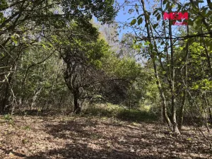 Prodej pozemku pro bydlení, Dubí - Drahůnky, 6184 m2