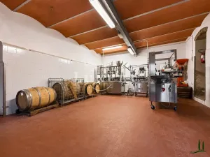 Prodej vily, Castellina in Chianti, Itálie, 1130 m2