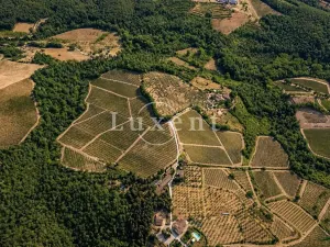 Prodej vily, Castellina in Chianti, Itálie, 1130 m2