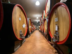 Prodej výrobních prostor, Castellina in Chianti, Itálie, 1130 m2