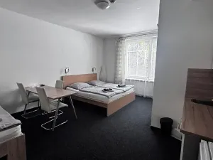 Pronájem bytu 1+kk, Ostrava, Zalužanského, 25 m2