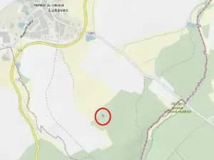 Prodej lesa, Lukavec, 978 m2