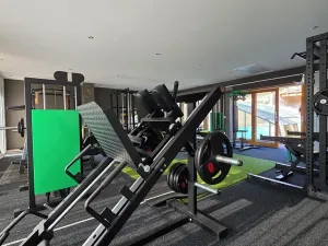 Prodej vícegeneračního domu, Náchod, Komenského, 1000 m2