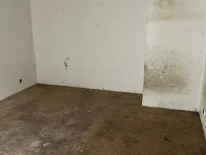 Prodej rodinného domu, Rosice, U Sýpky, 345 m2
