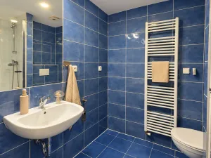 Pronájem bytu 1+kk, Brno, Rajhradská, 24 m2