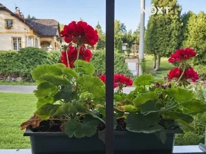 Pronájem rodinného domu, Dolní Kalná, 109 m2