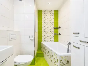Prodej bytu 2+1, Mohelnice, Nová, 47 m2