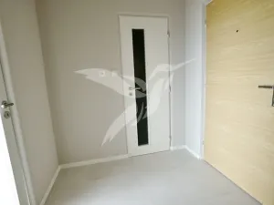 Prodej bytu 1+kk, Plzeň, Hodonínská, 31 m2